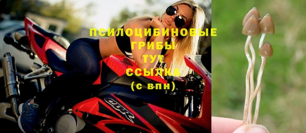 амфетамин Алексеевка