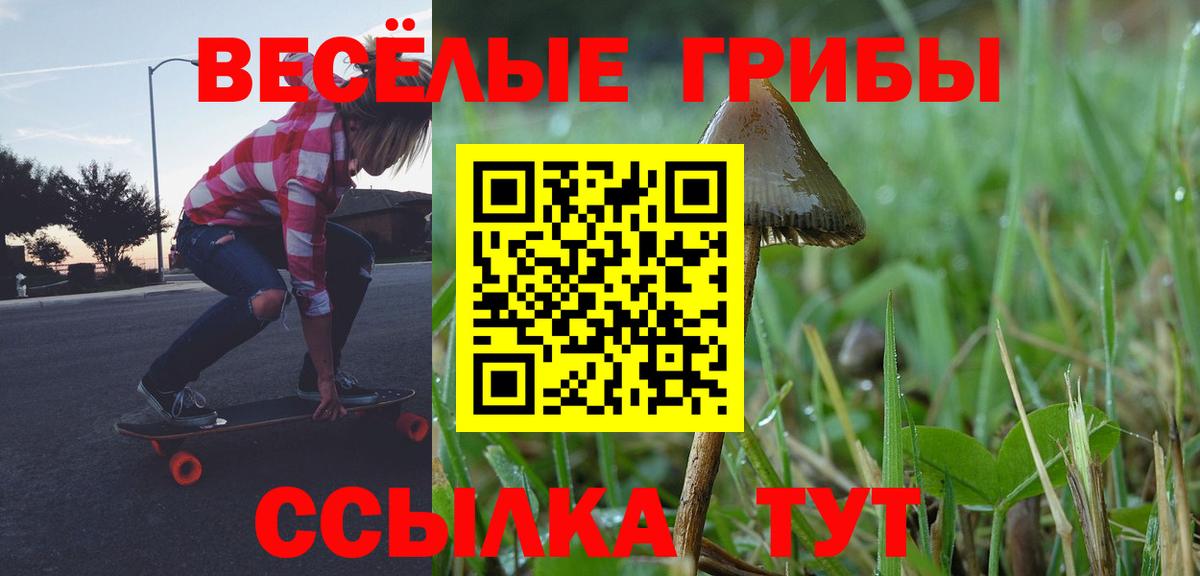 Псилоцибиновые грибы Cubensis Тулун